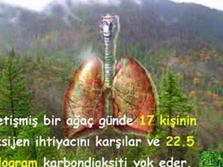 ÇEVRE KORUMA HAFTASI FİLMİ