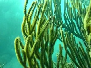 Colombia Santa Marta 2