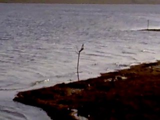 canadair le 23 mai 10 à brennilis au lac St Michel