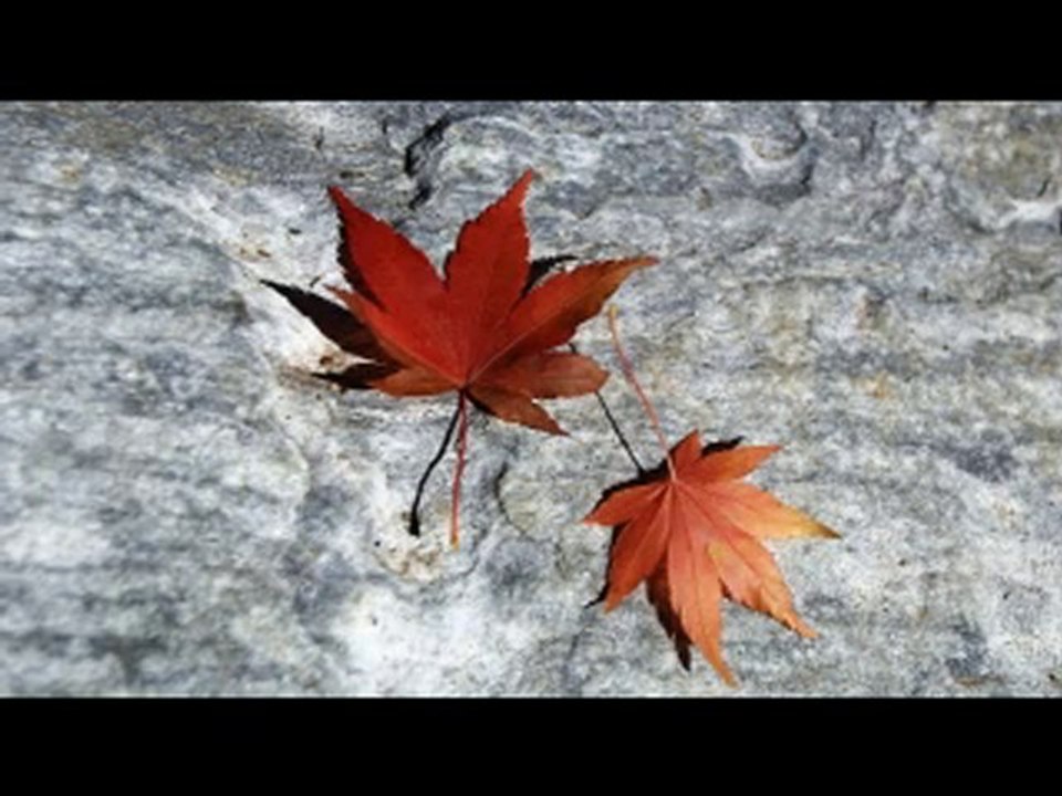 Me Singing "Hello" by Lionel Richie (Glee Cast cover)