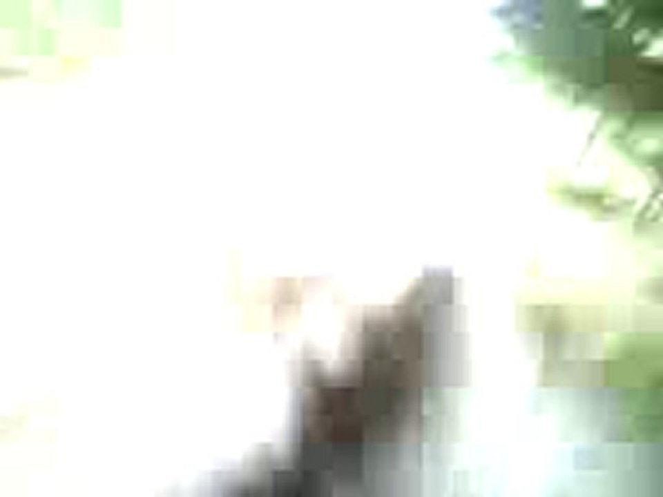 Rocco galop puis trot