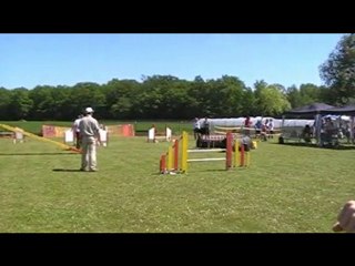 agilityvauxlepénil2èmedegréchweeps