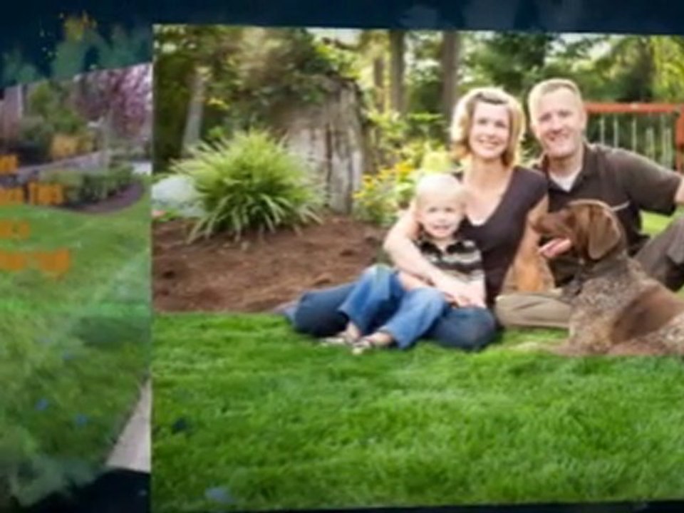 Winnipeg Lawn Services For Lawn Care and Weed Control