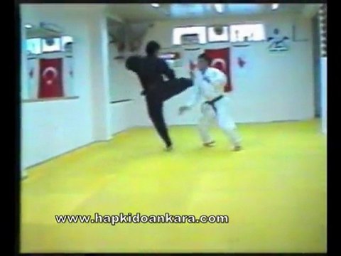 Ankarada Hapkido Master Sadık Şahin ninjutsu bölüm 1