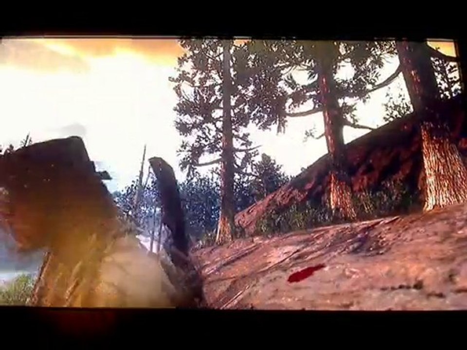 Red Dead Redemption - Spot aux Castors