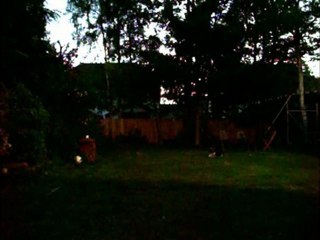 Me, Bobby and Mizzy playing football (May 2010)