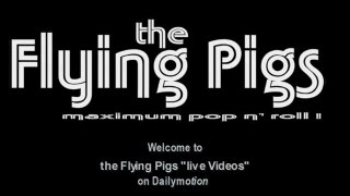 the Flying Pigs - Misha says 