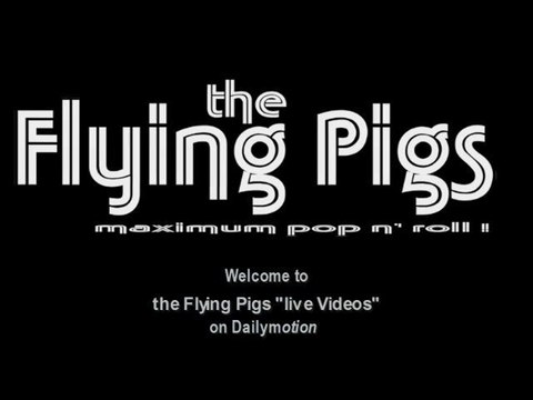 the Flying Pigs - Misha says promo