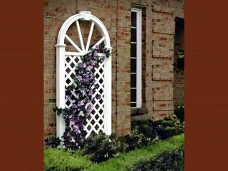 Use a Trellis to Show Off Your Favorite Flowers