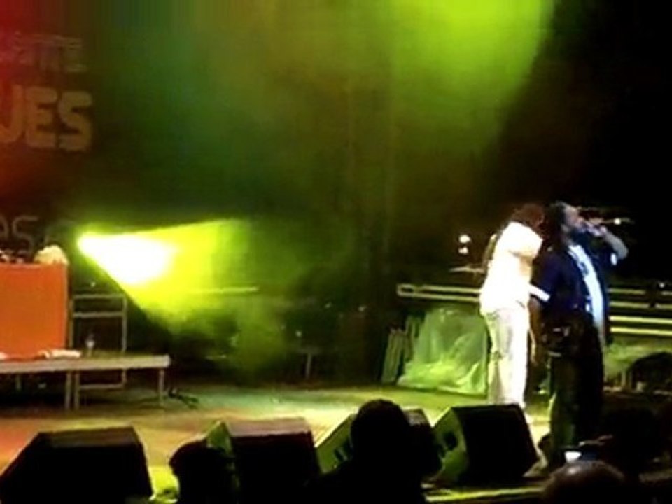 Terre de Blues 2010.Morgan Heritage-How come