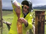 TAG Oil Reports Waitangi Hill Oil Discovery