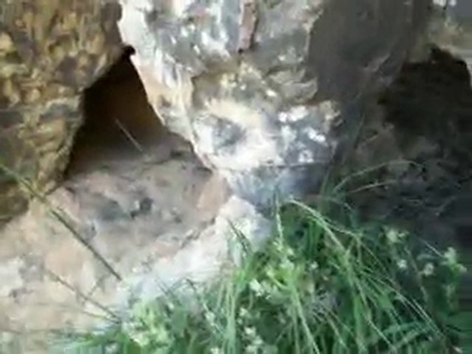 Ifr naiiq  - la caverne de la coqueluche