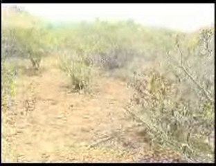 Sturtruppens Airsoft y Reenactors