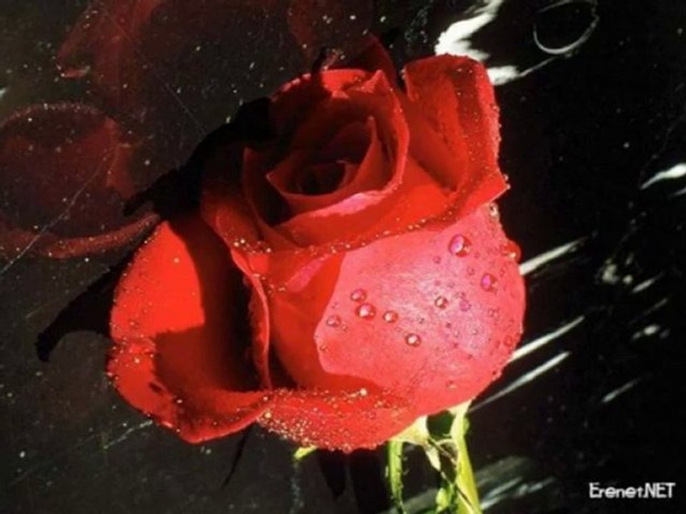 Cavit Karabey - Kadersiz Doğmuşum