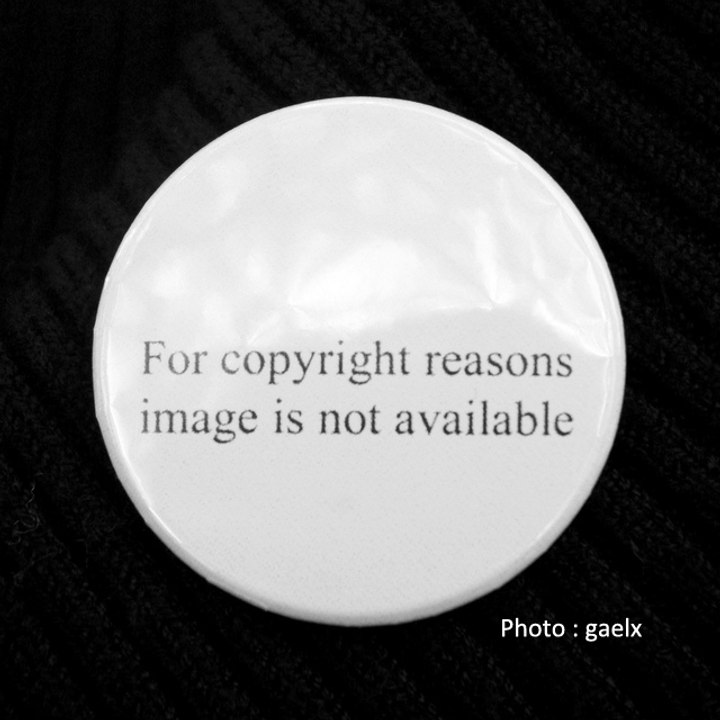 Droits d'auteur sur internet. Cession de droits : Comment ça marche