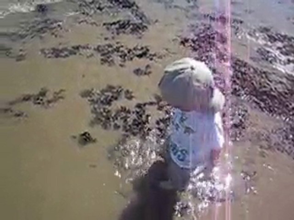 A la decouverte de la mer...