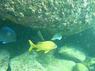 Colombia Santa Marta 5