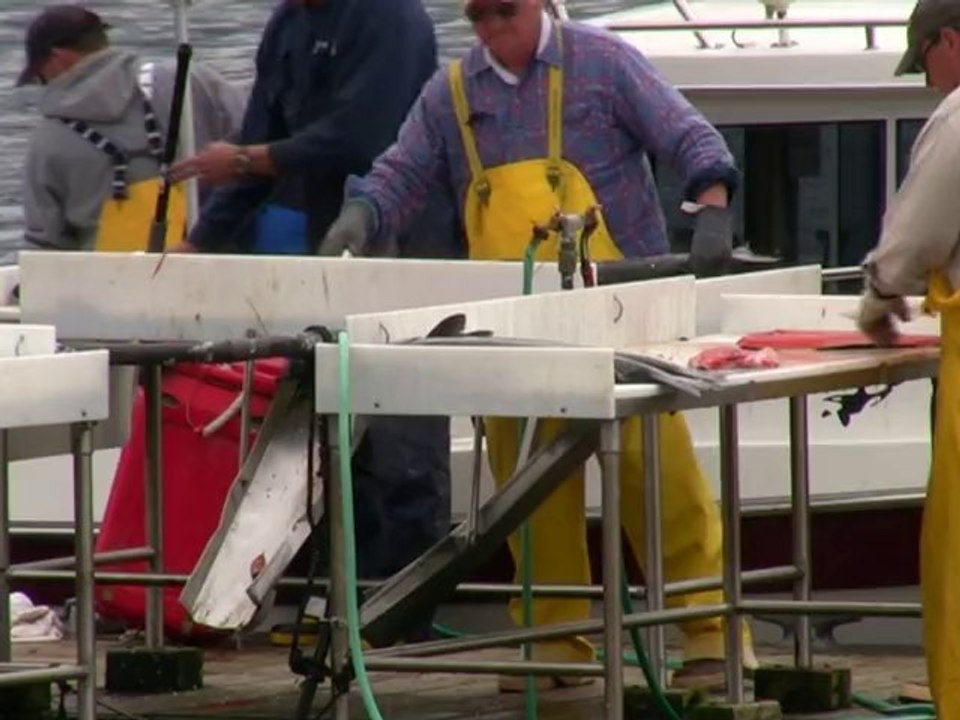 Sitka Alaska King Salmon