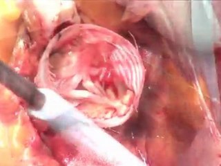 Eisenberg-Film GmbH in Marburg 🎬