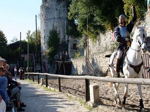 cité médiévale Provins (77)
