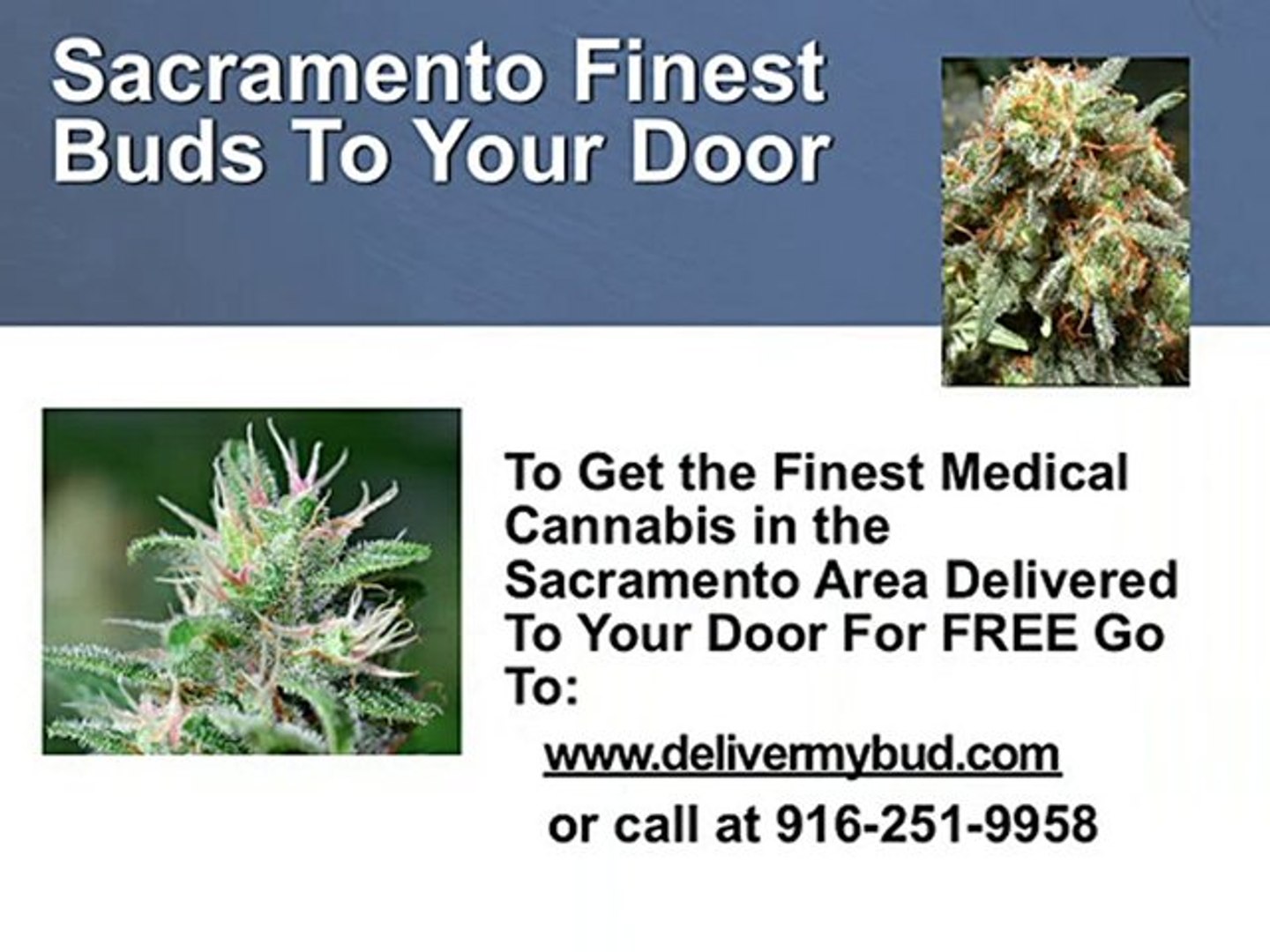 ⁣Cannabis Club Sacramento - Cannabis Sacramento - Free Deliv