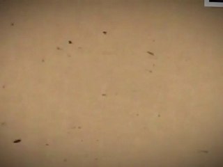 les pote et la famille