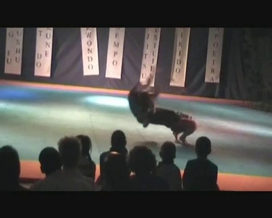 Festival d'art martiaux de st gervais 2010( demo jjb)