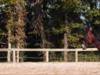 Lybéria vitesse Lamballe