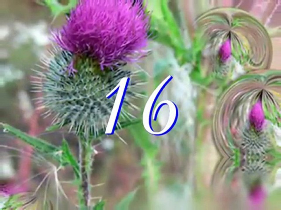 quiz musiques de films