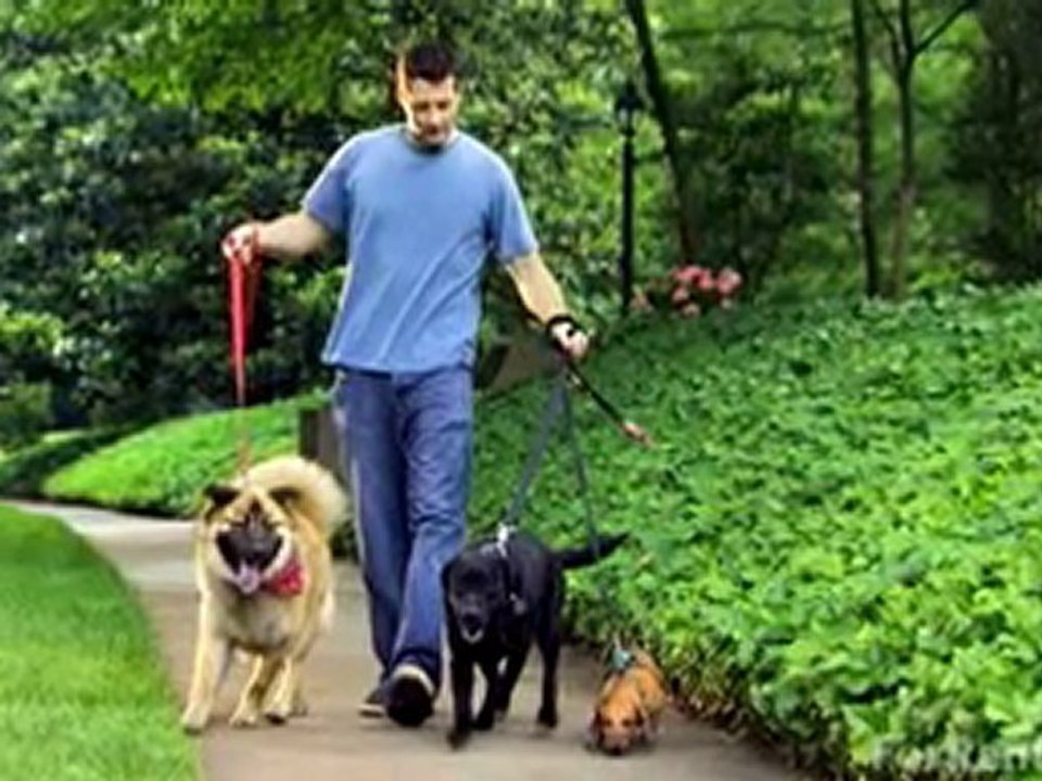 Colorado Springs Apartments For Rent - Find Apartments ...