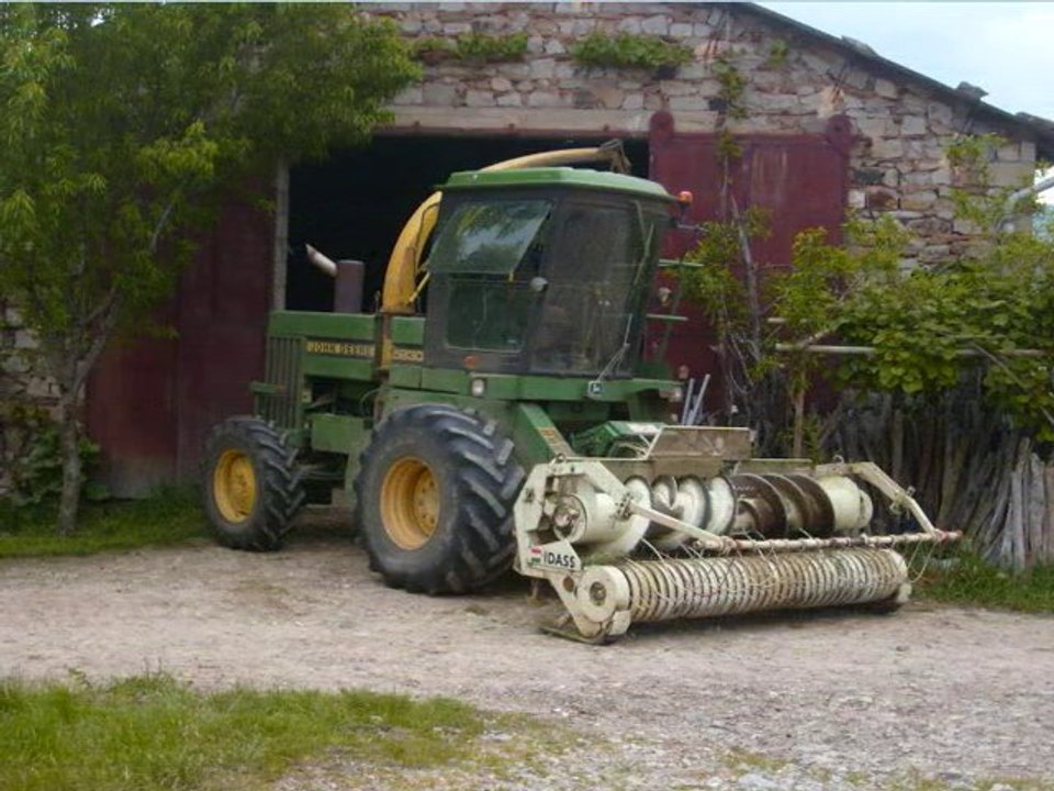 ensilage 2010