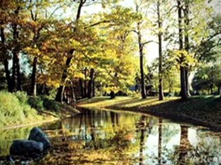 Greensboro Apartments For Rent - Find Apartments in ...