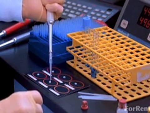 Houston Apartments For Rent - Find Apartments in Houston, TX