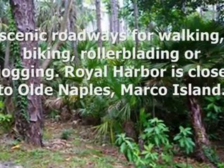 Condo for rent Naples 3032 Sandpiper bay