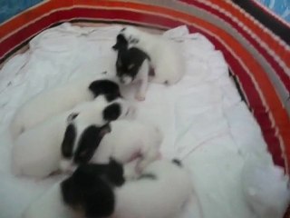 Le bébés danaé, jour 18