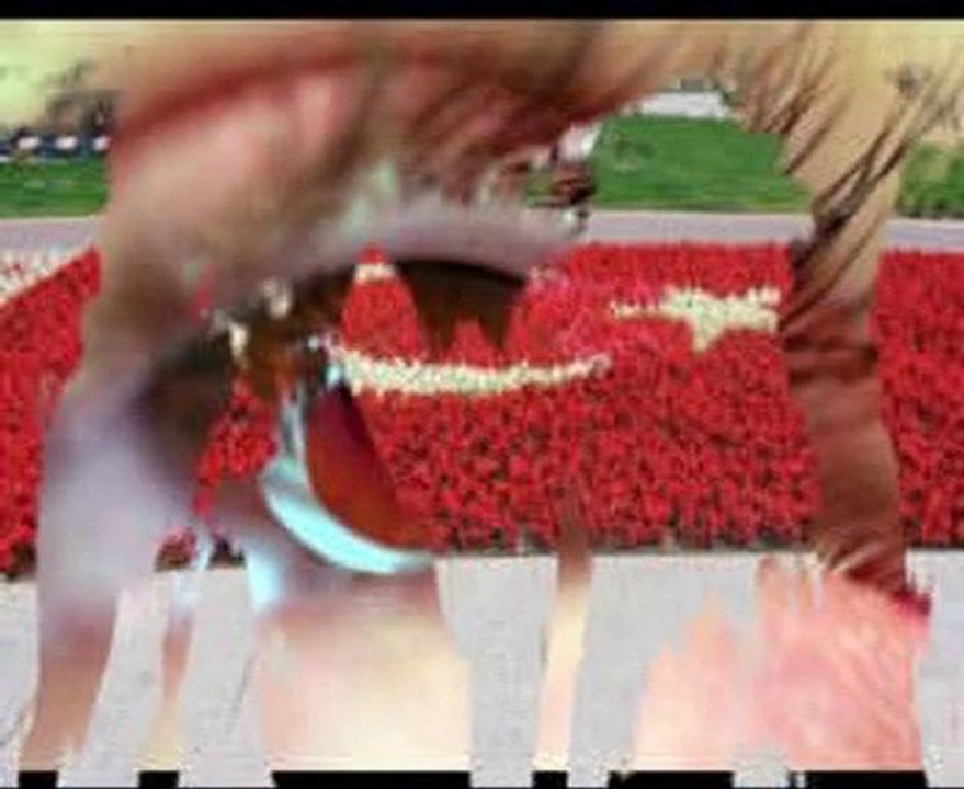 Türkiyem by =SG TR=