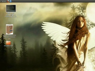 Enable Recording of System Audio Windows 7 & Ubuntu 10.04