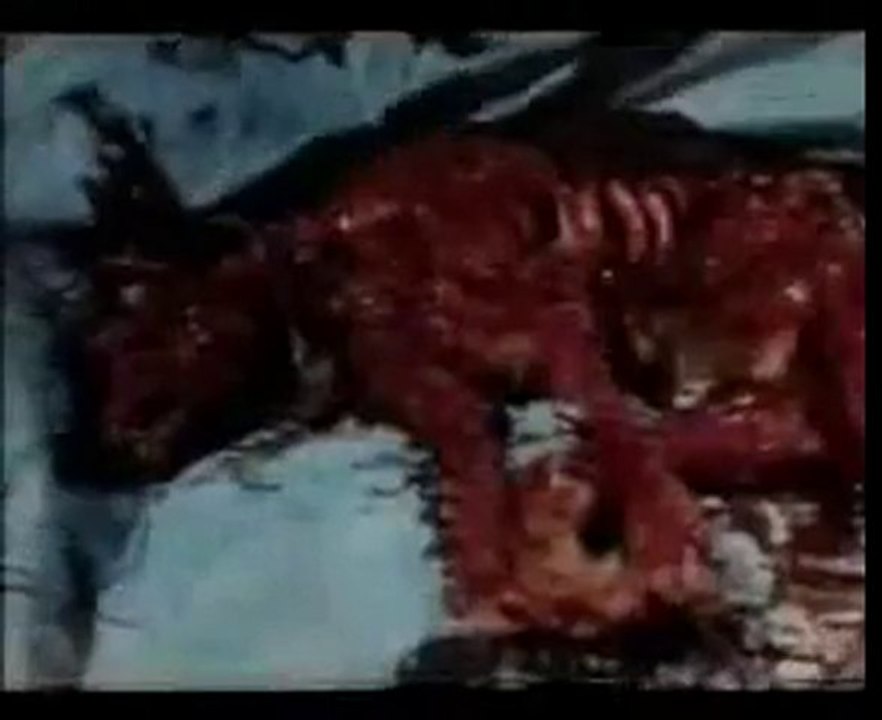 Das Nest Brutstätte des Grauens