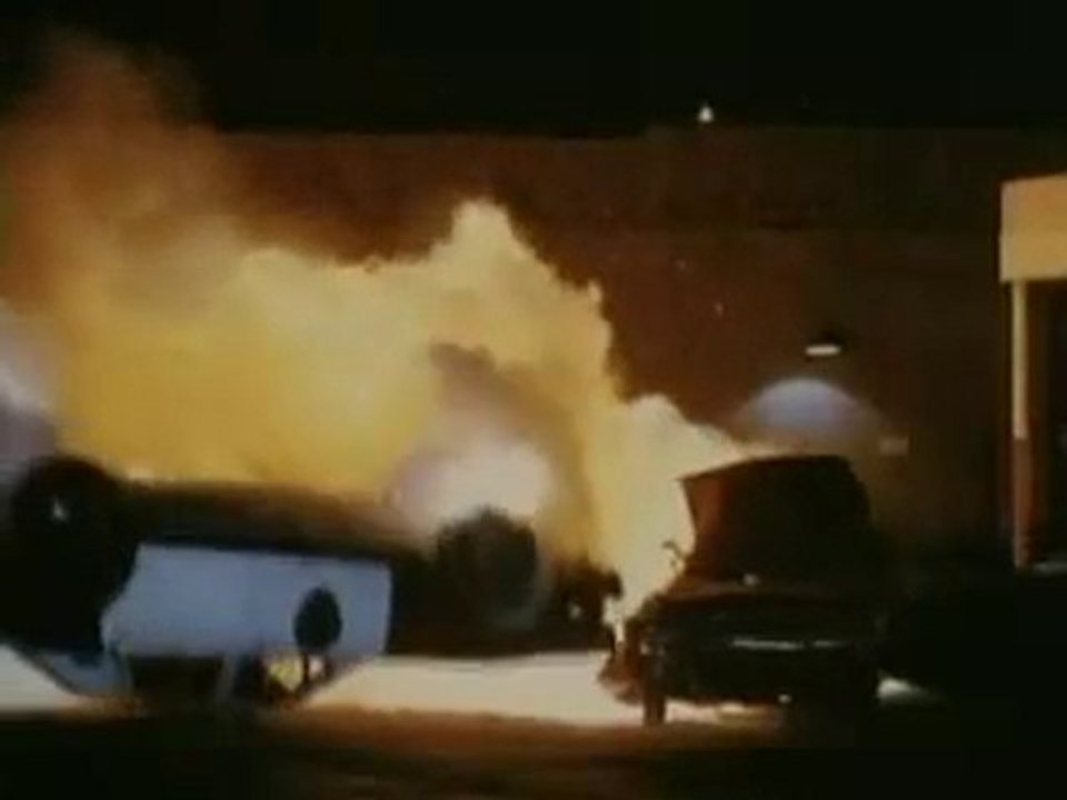 Der Horror-Alligator