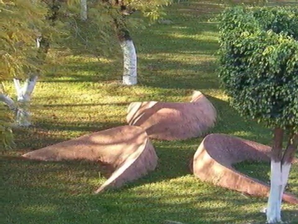 Hoy que vuelves y te vas