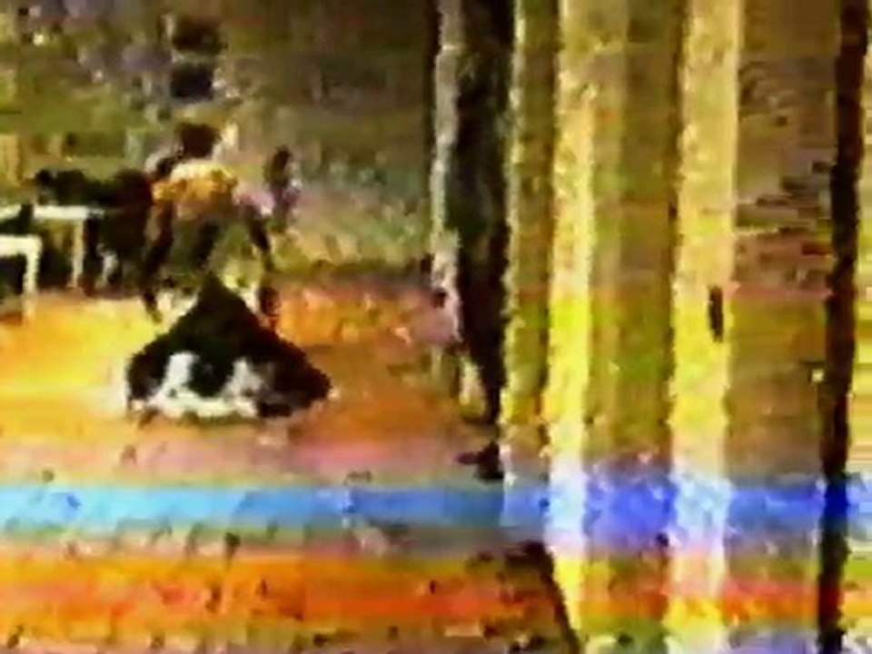 kan ve ter - house style-street jazz-dance(tahsin-ori-nihat)