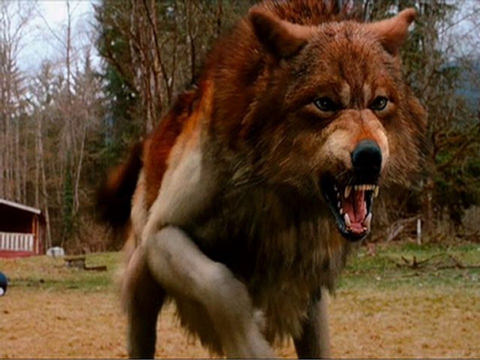 The Twilight Saga: Eclipse  Part 2 /10 FULL Movie streaming