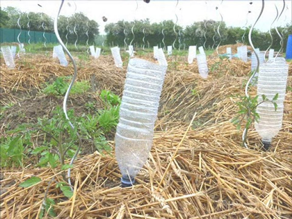 ARROSOIRS ECONOMIQUES POUR LE JARDIN