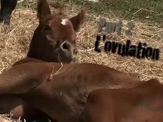 Une semaine avec...le dc Gilles Baratou - Part 2