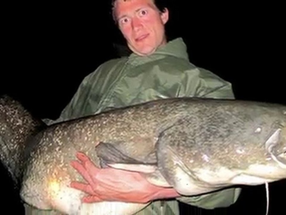 Session Silure Fin Mai 2010 Teaser Roots Daily