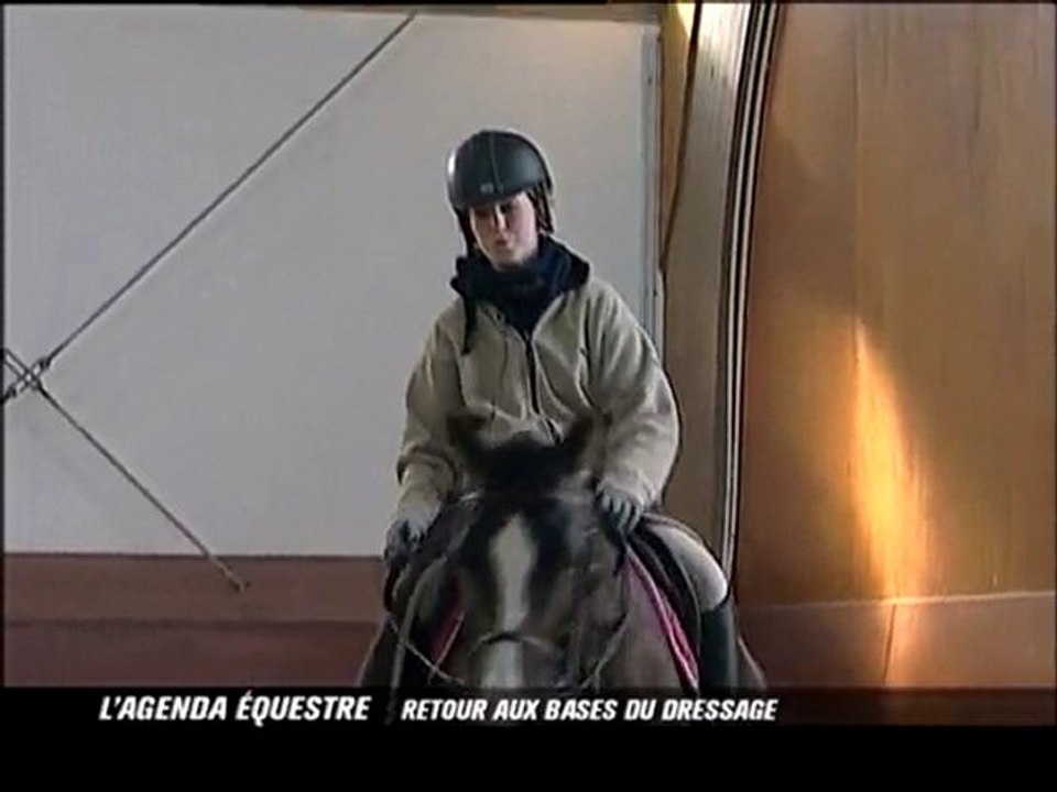 Retour aux bases du dressage