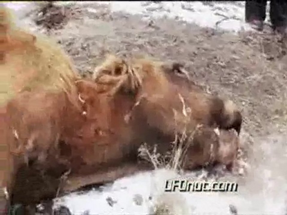 Explorer les affaires non résolus avec John Romero Partie 01