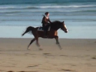 galop sur la plage