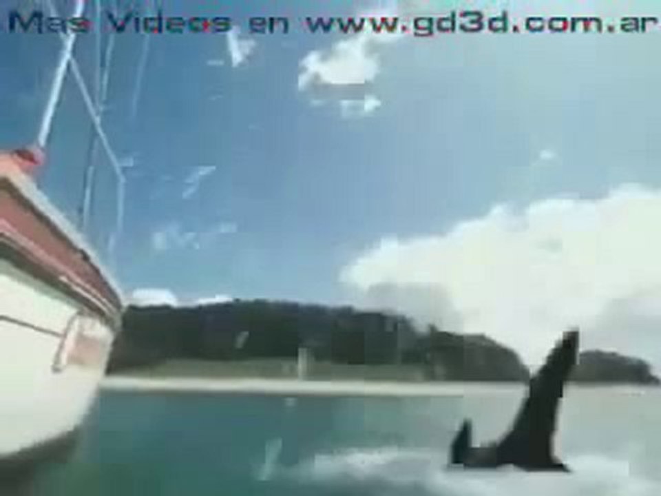 Dünyanın en kısa tatili sadece 2 saniye KESİNLİKLE İZLE xD