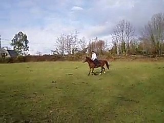 Naman débuts en saut, 2005